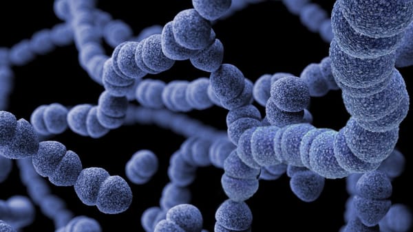 Бактерії з ротової порожнини можуть підсилювати ризик розриву атеросклеротичних бляшок